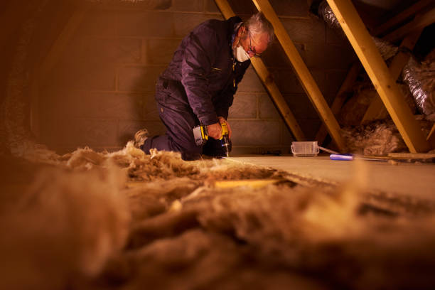 Best Types of Insulation in Sully Square, VA